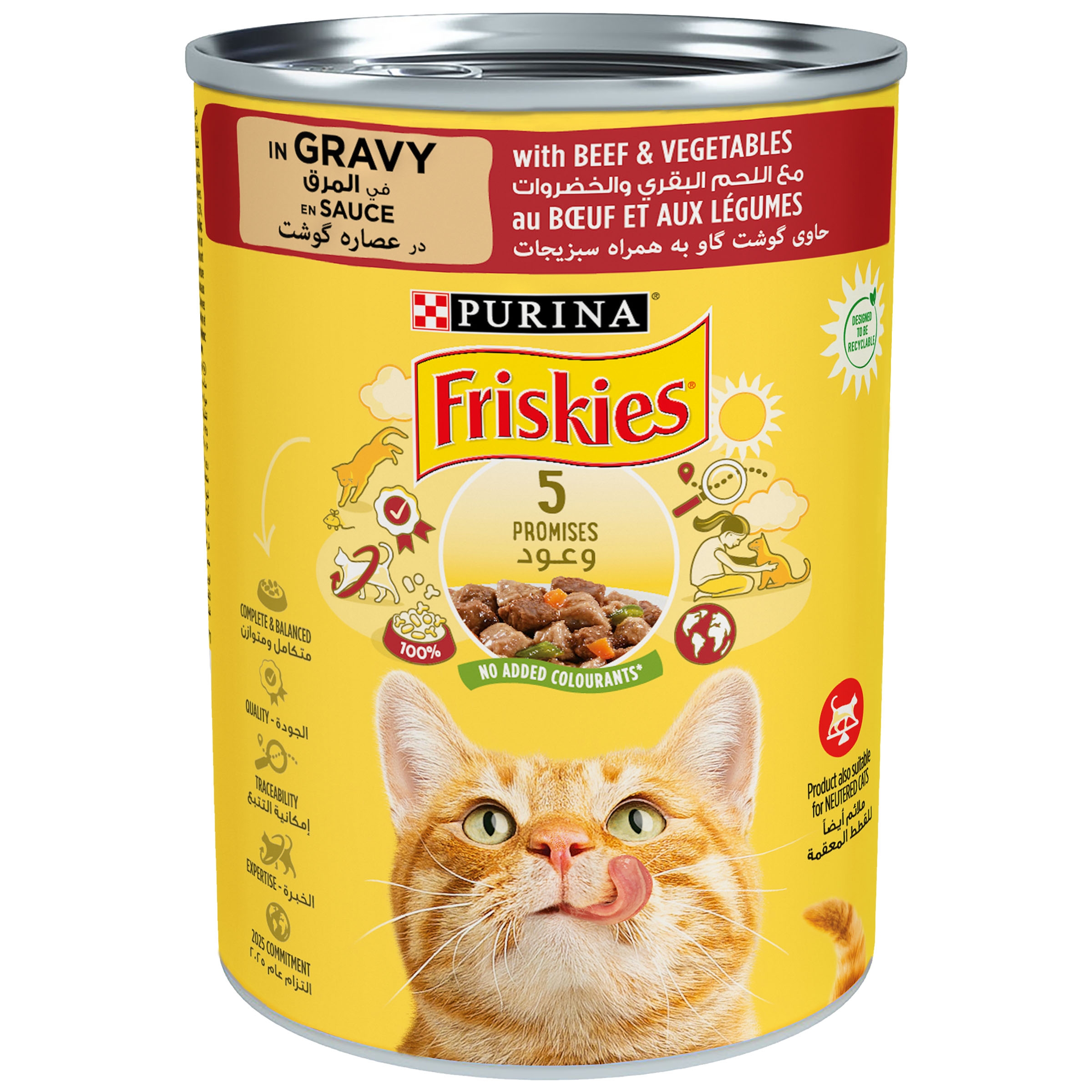 Friskies wet cat 2024 food serving size